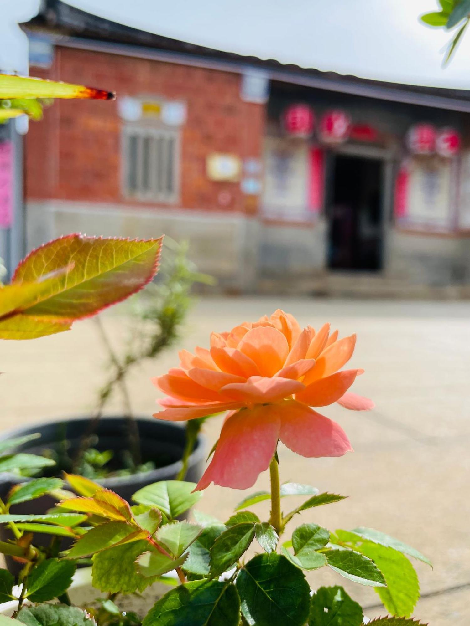 Grace Homestay Цзиньчэн Экстерьер фото