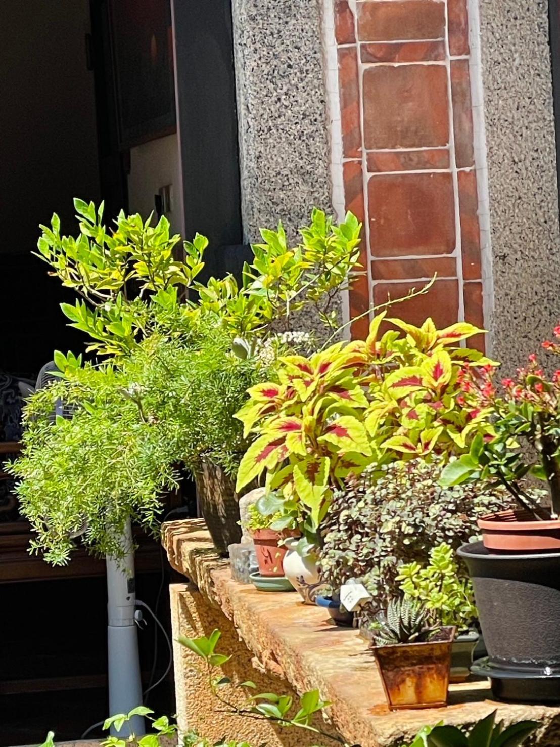 Grace Homestay Цзиньчэн Экстерьер фото